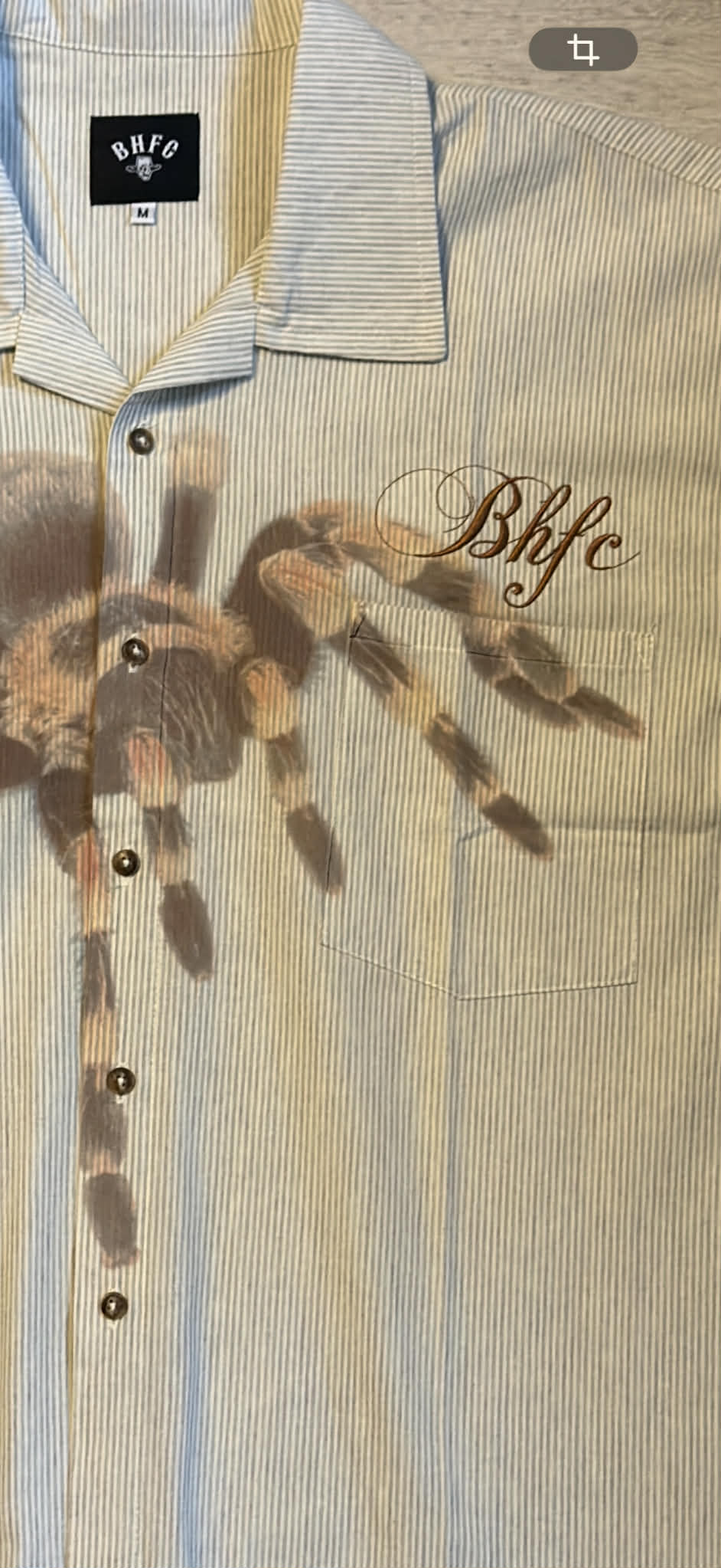 CAMISA TARANTULA