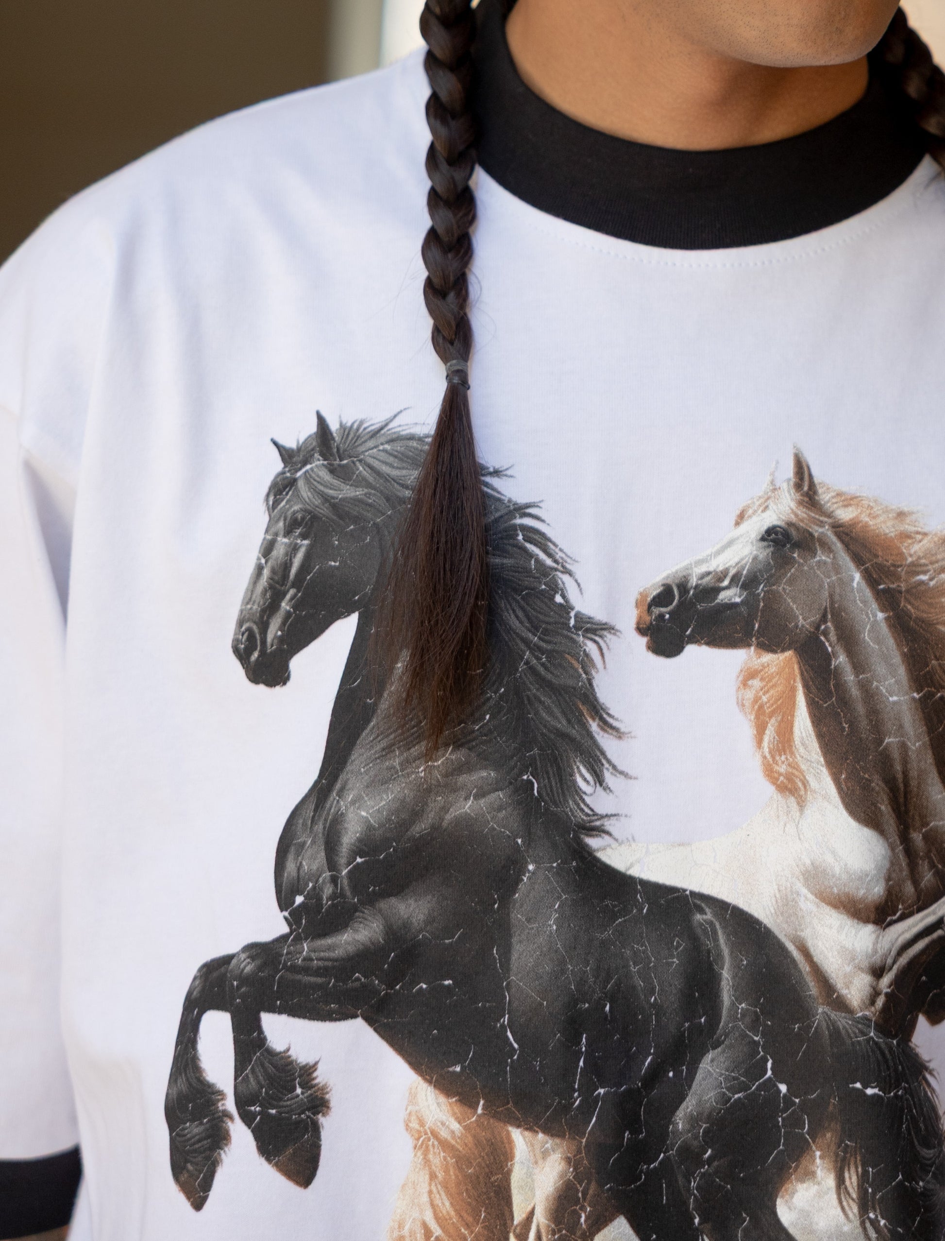 BULLET WILD HORSES